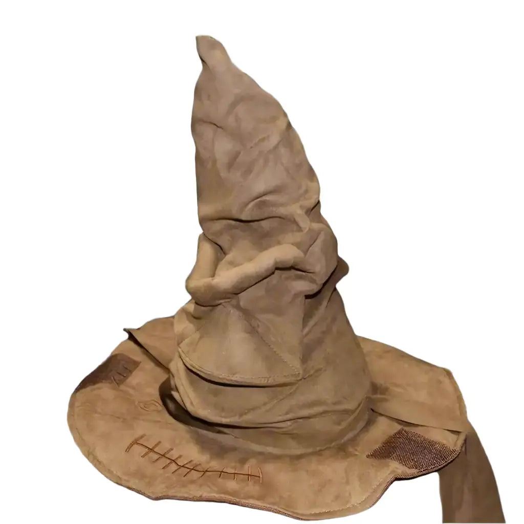 harry potter hat costume
