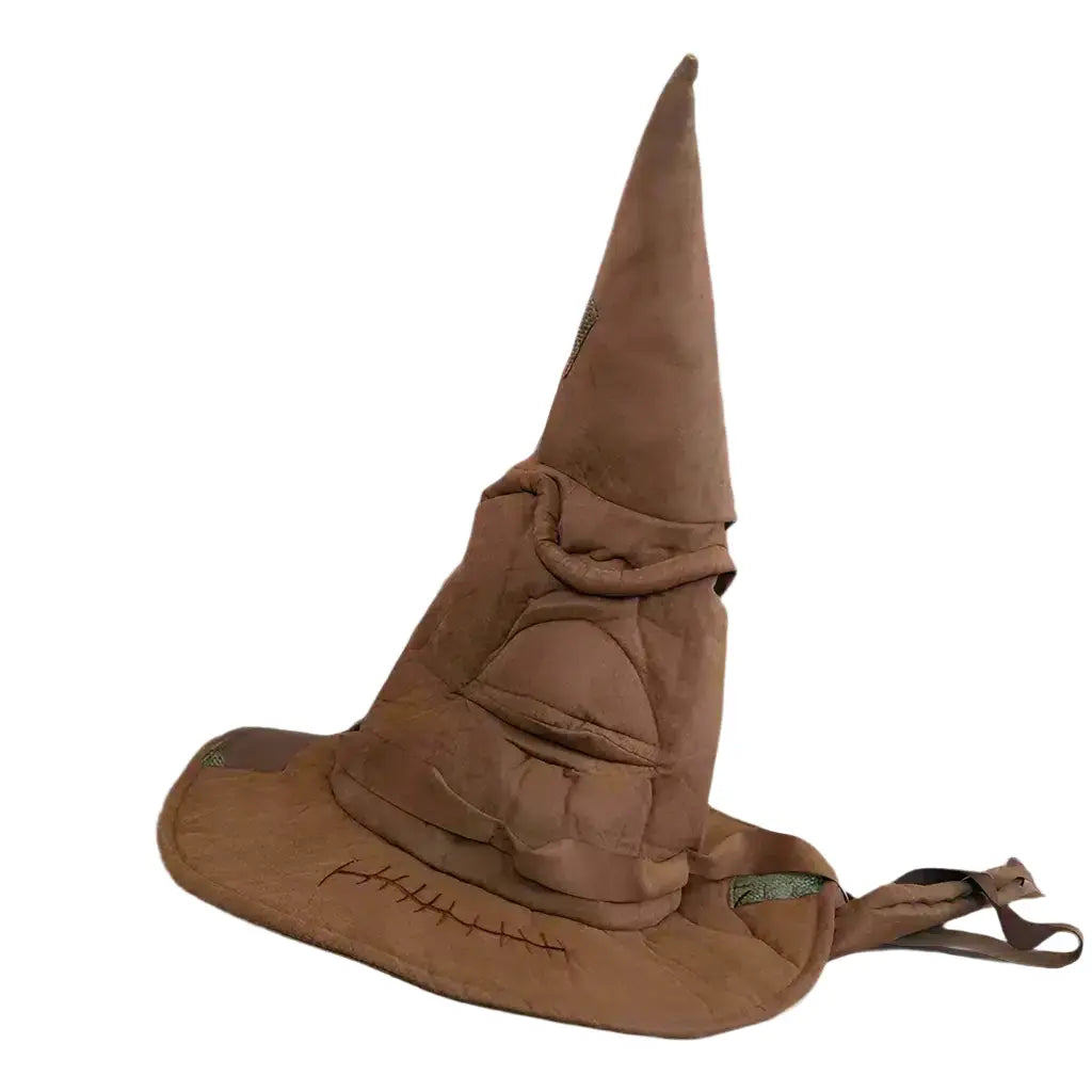 the harry potter hat