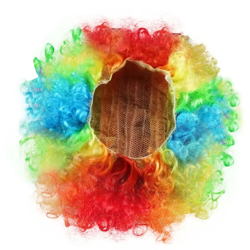 Rainbow Afro Wig