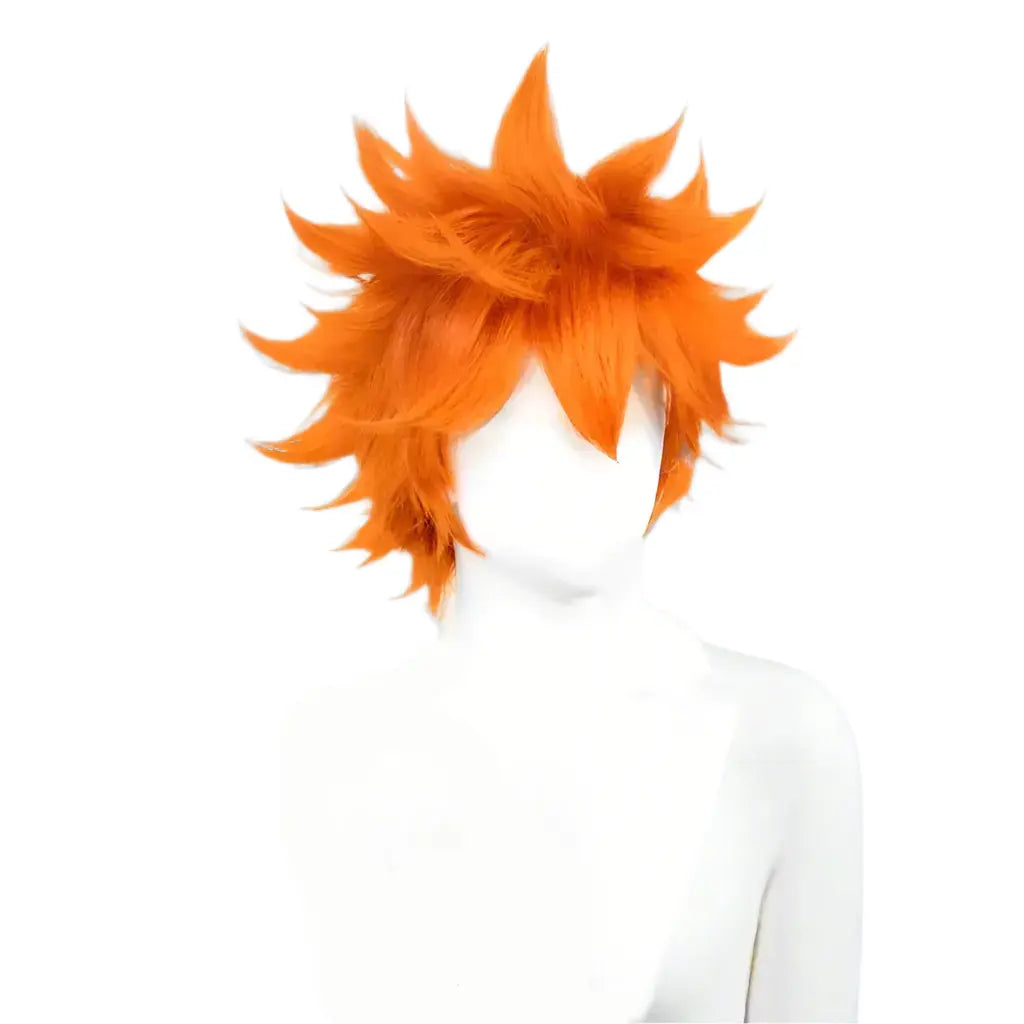 shoyo hinata wig